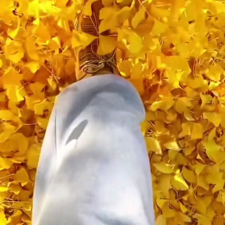 蓝蓝的天空🌿🌿