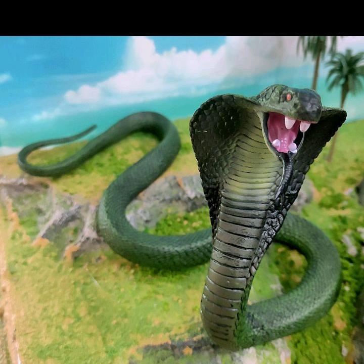 毒蛇
