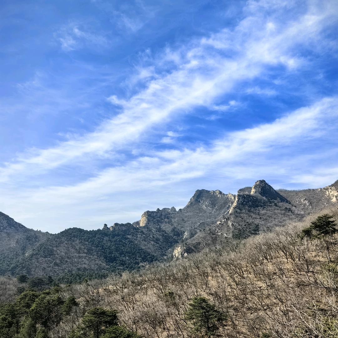 阳辰好物精选