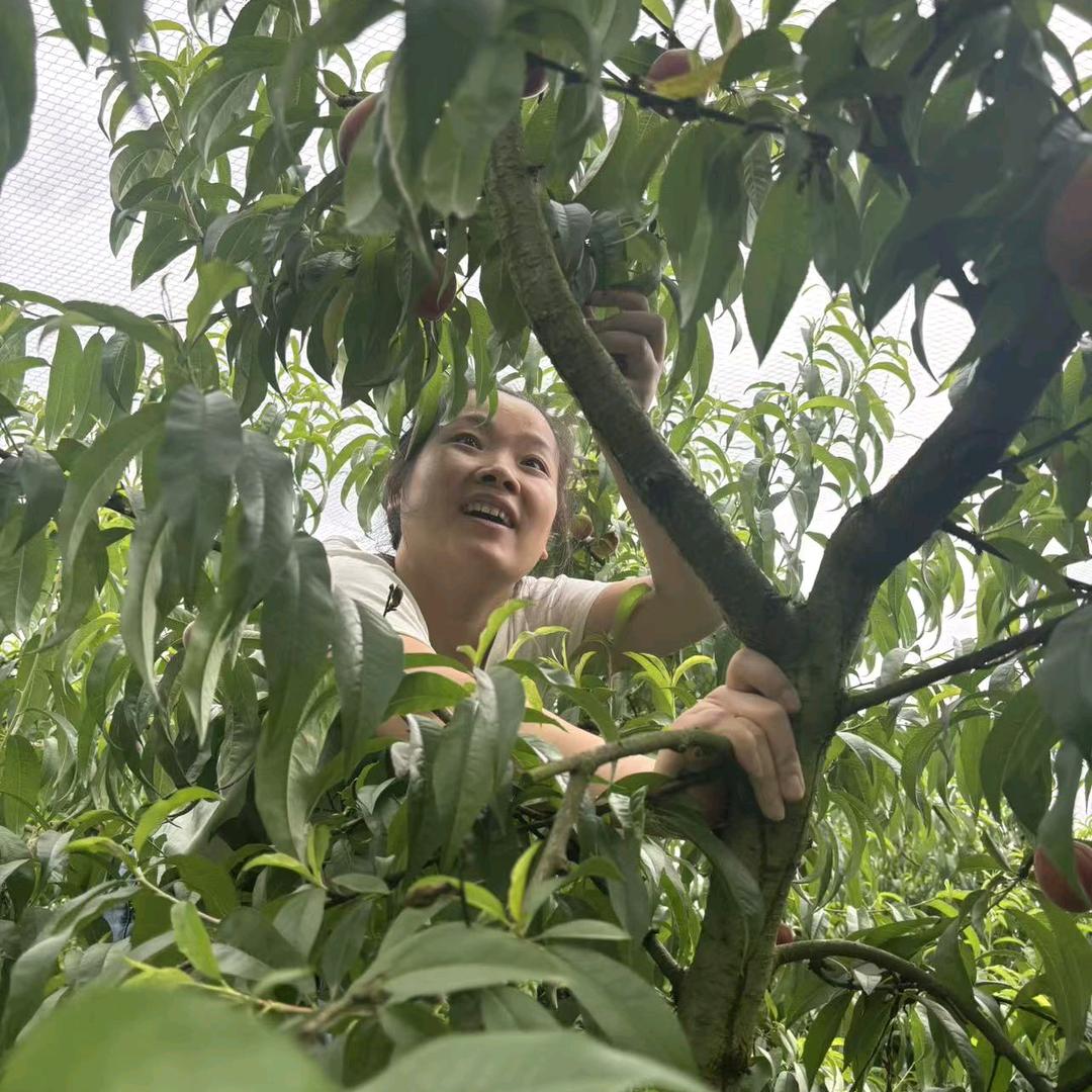 荣昌媳妇江西小陈
