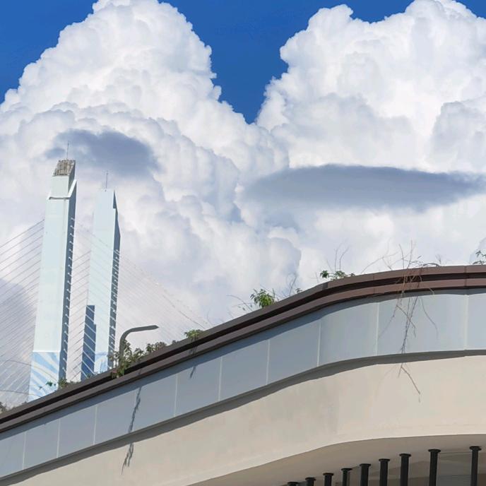 不做大哥好多年