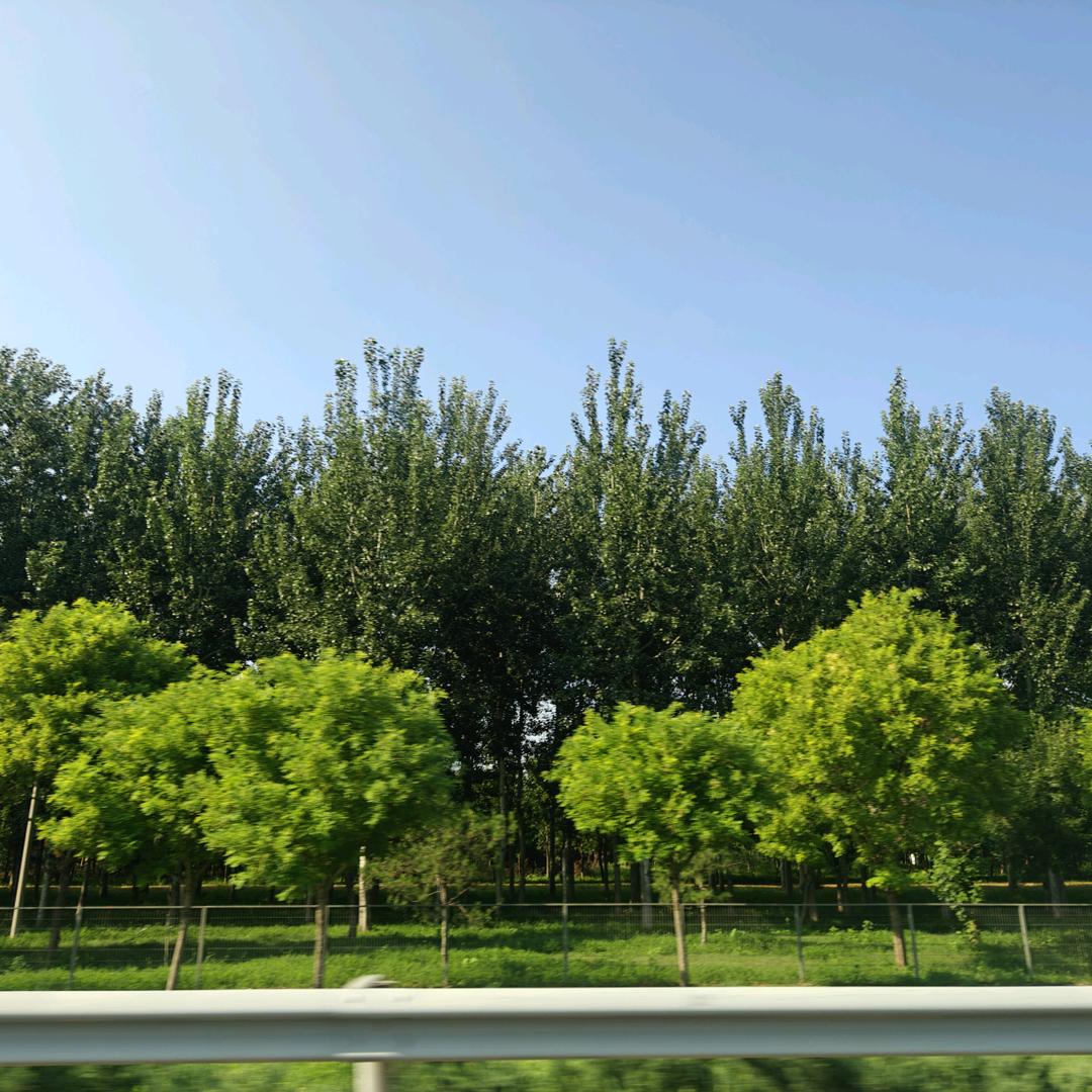 知岳