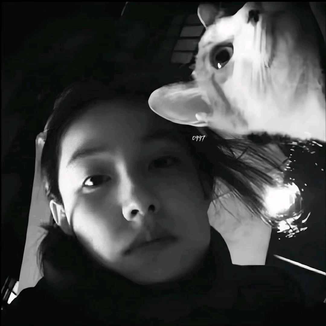 一刀斩断舔狗梦.