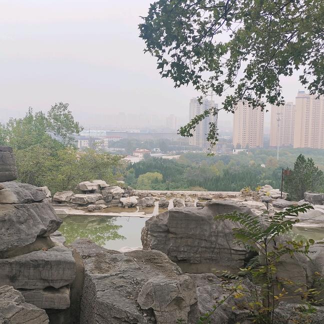 🍀要做财神爷心尖上的女人🌸