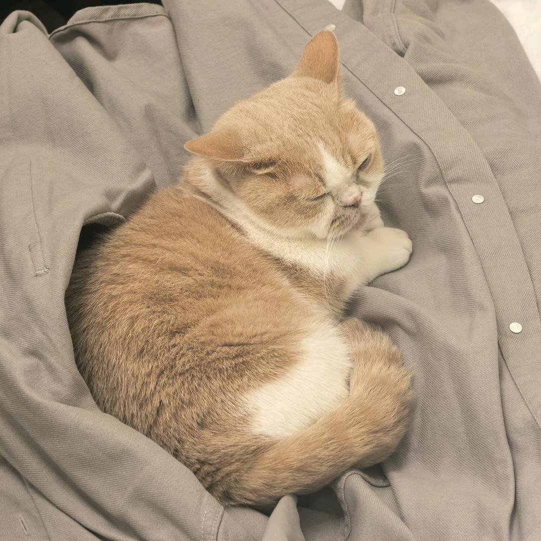 不碍事de白姑娘