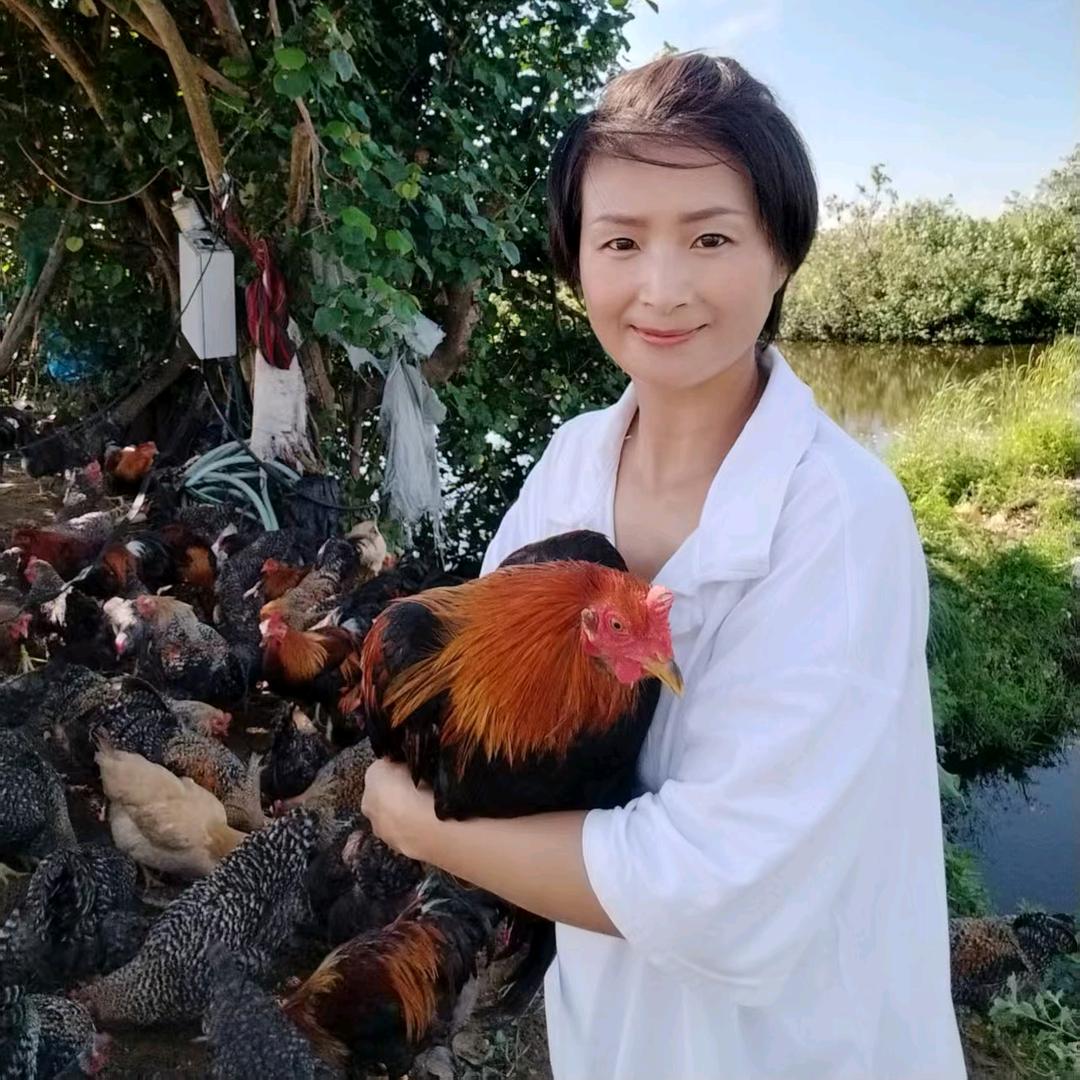 老徐虾塘海鲜鸡