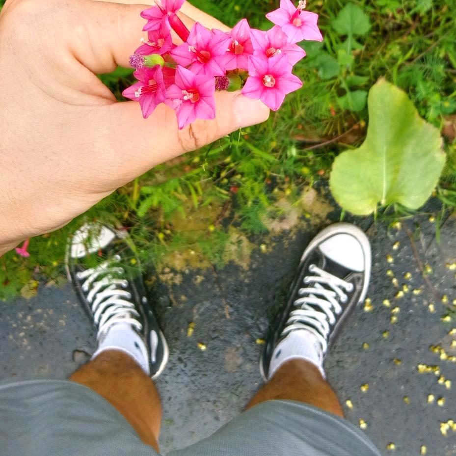 可唔可以中意我