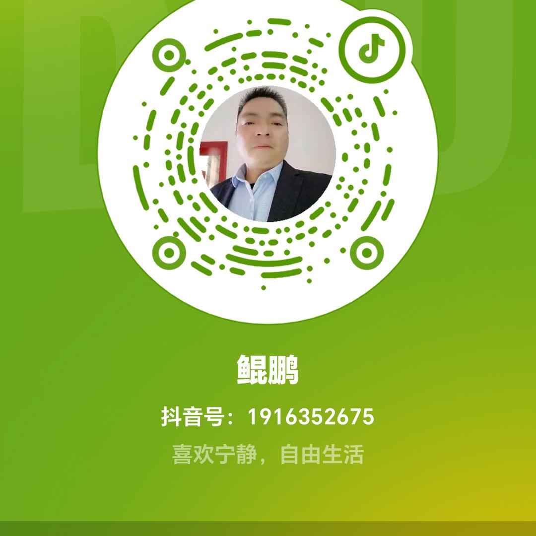 鲲鹏