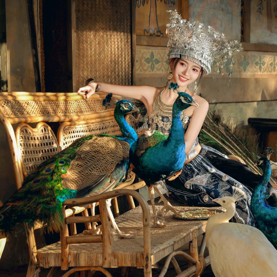 版纳五钻酒店臻选