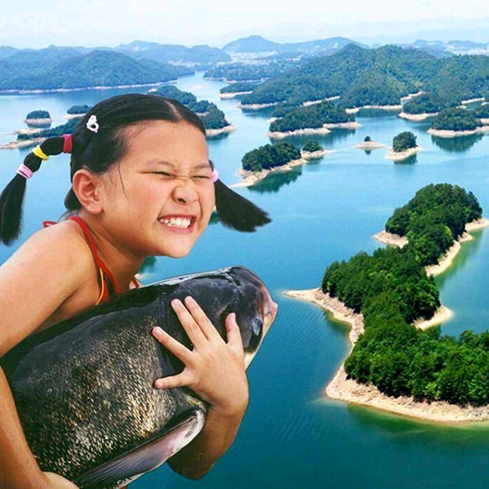 千岛湖鱼老弟YJ