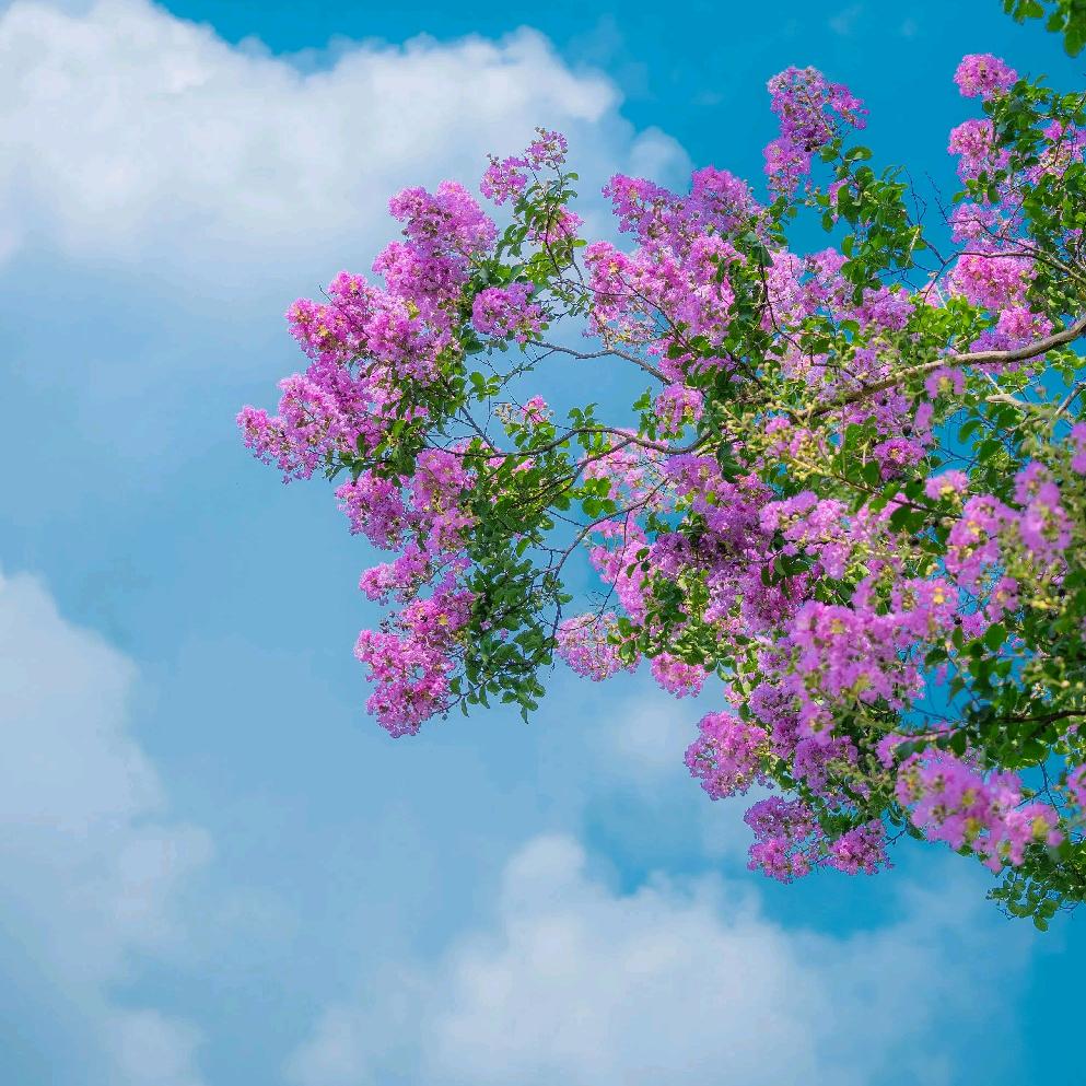 请以热爱奔赴山海