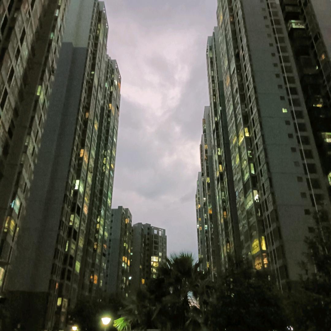 雪豹