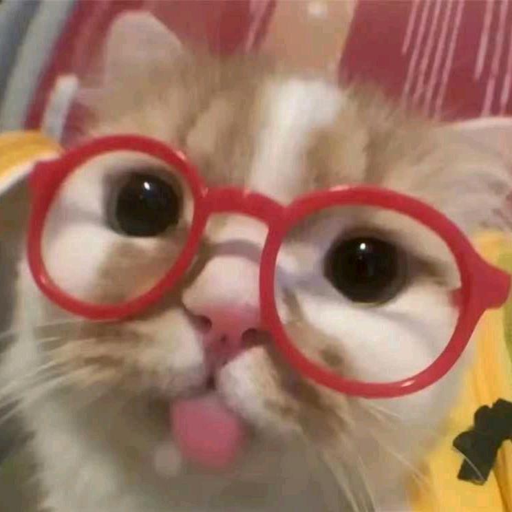 德华哥