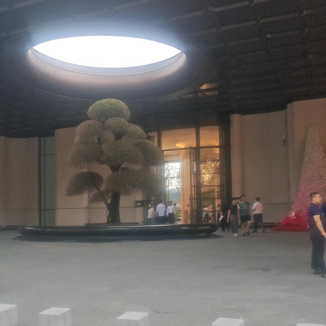 牛小小