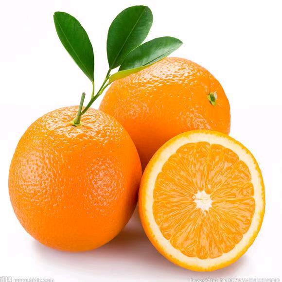 冀教数学🍊老师