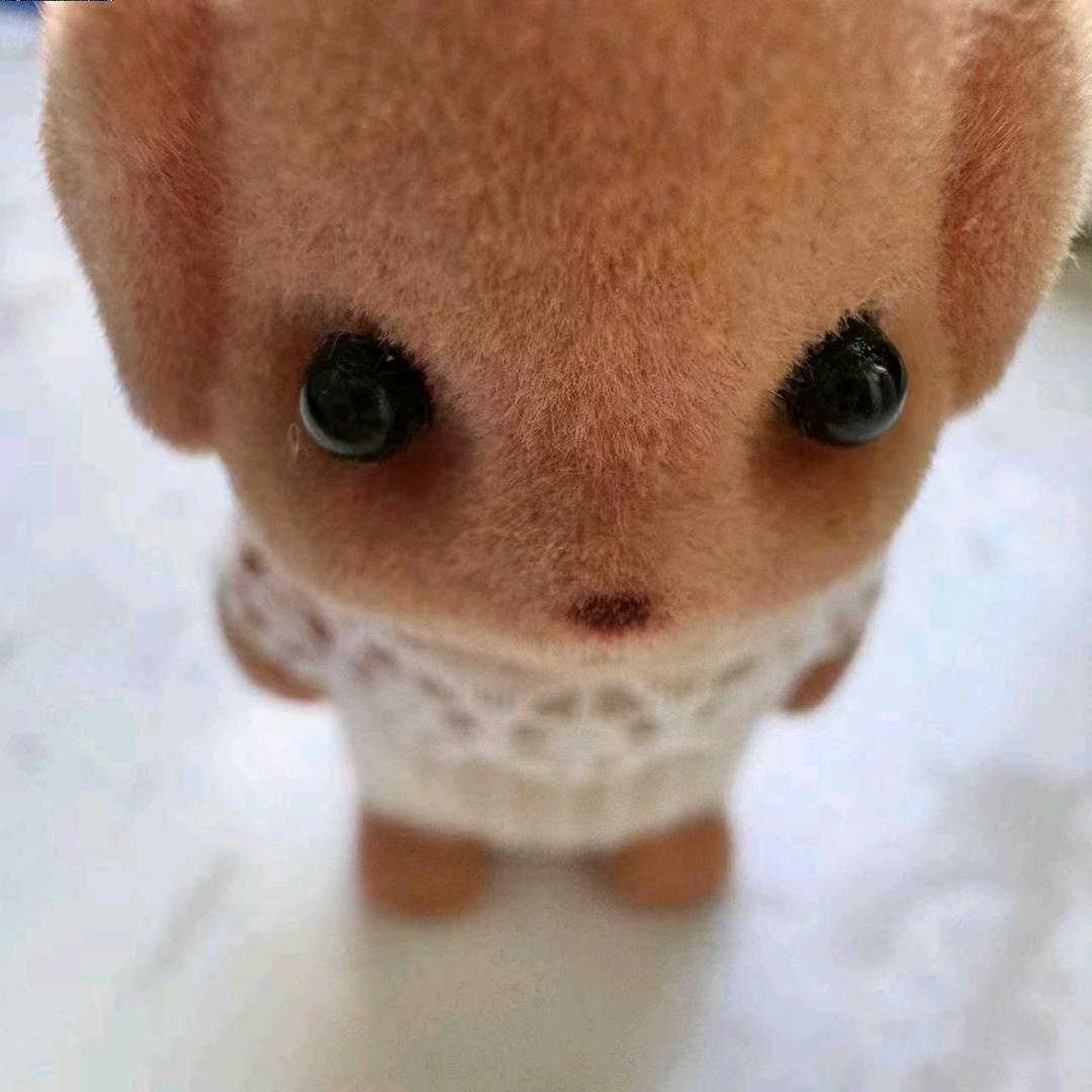 苏幕遮