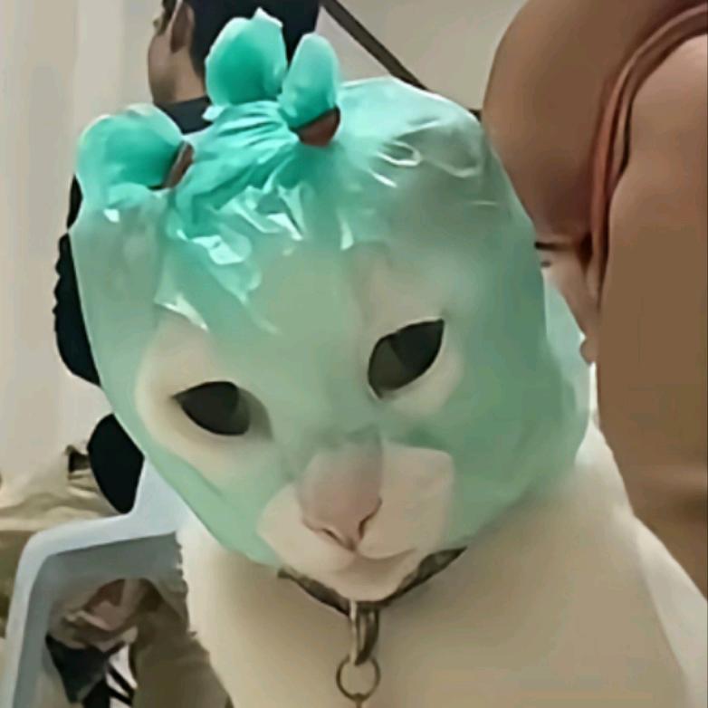 Az阿政🍄（居安思V版）