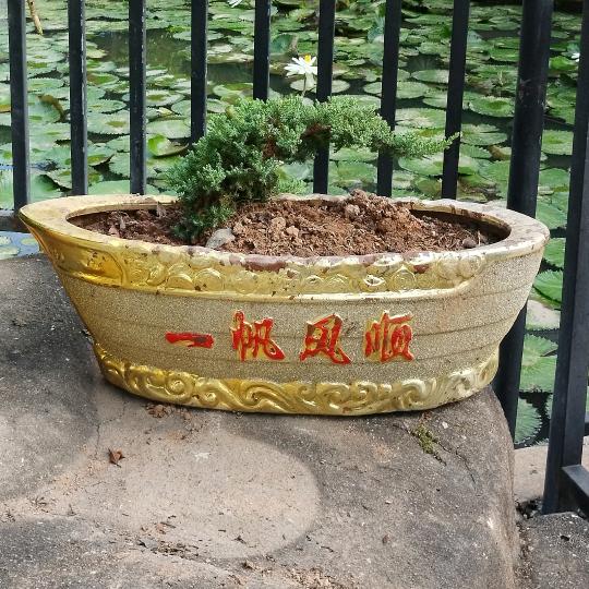 平安喜乐🌹🌹🌹