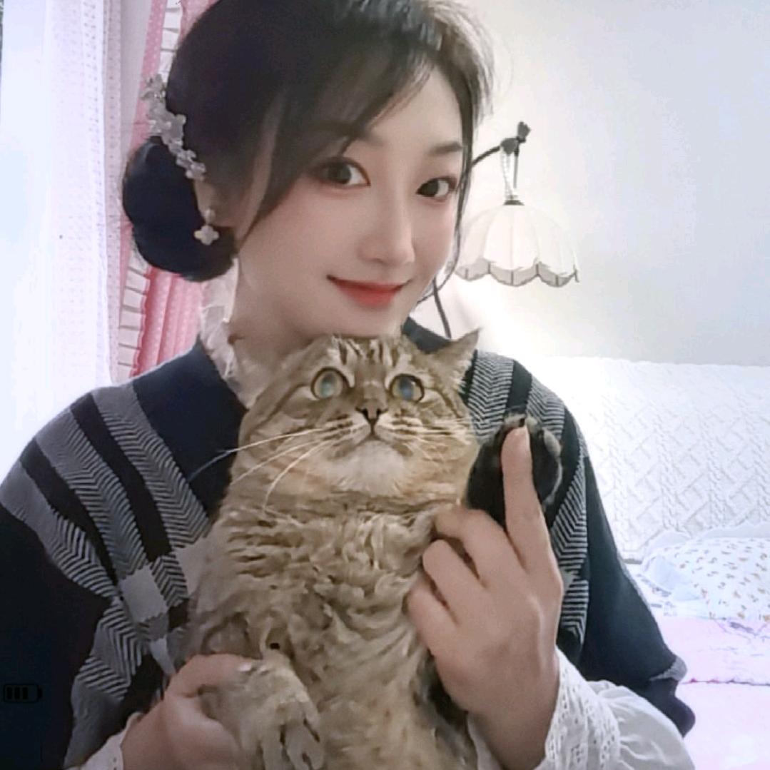 猫儿