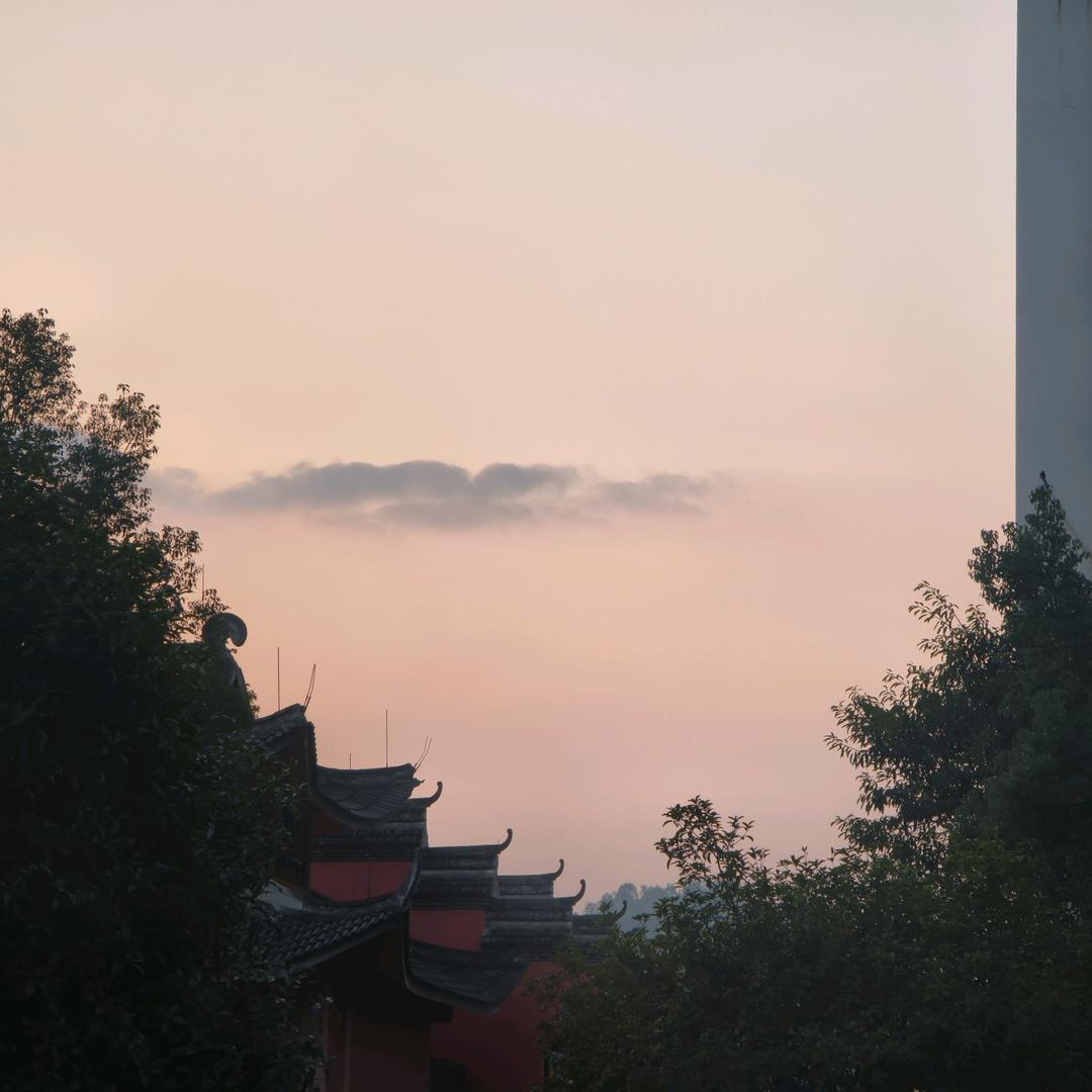 🎊🎊秋🎉🎉🎉