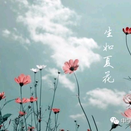秦庄沙发套华姐