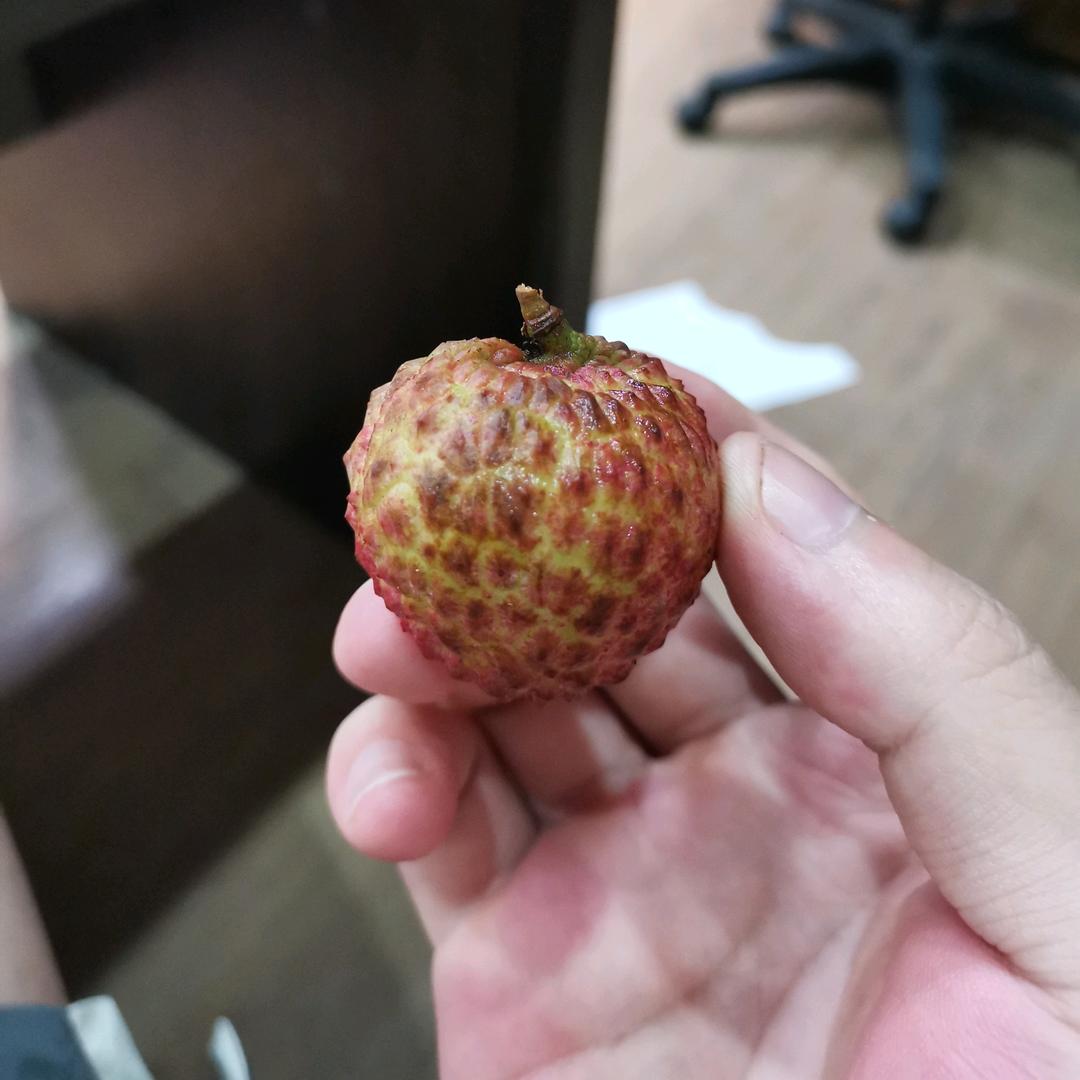 立刻大荔