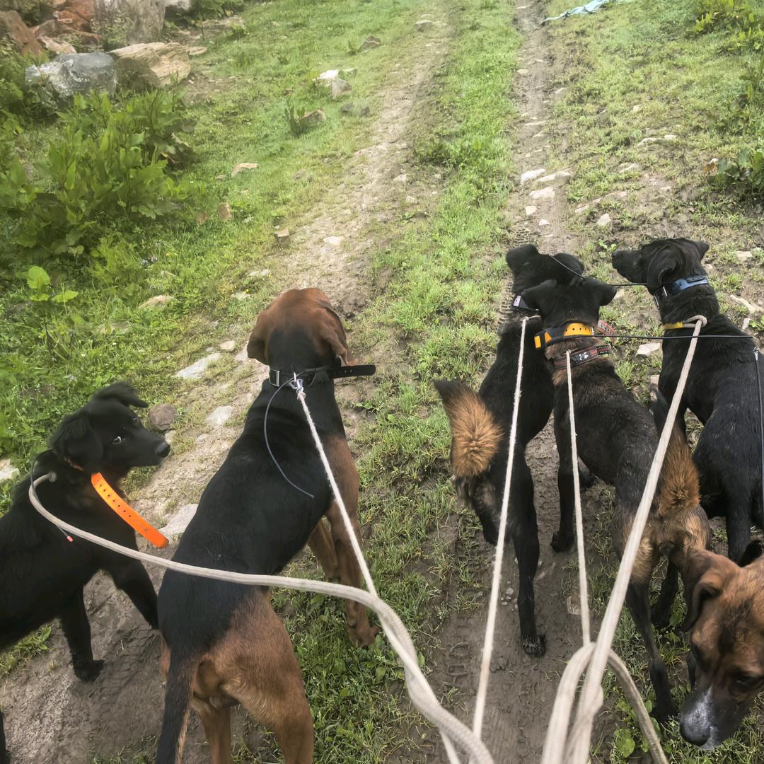 川(V)公益护农队