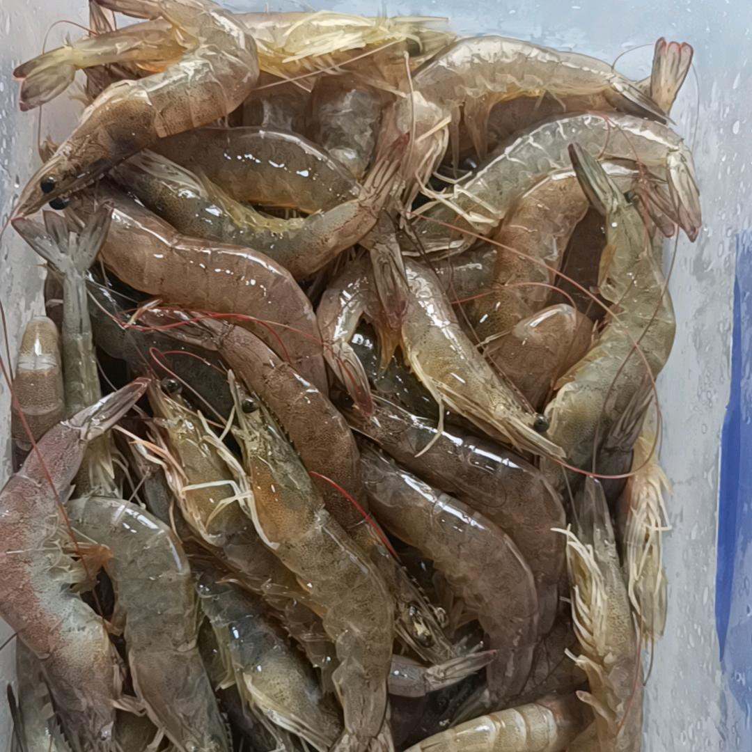 顾客水产东阳和平路92号门面