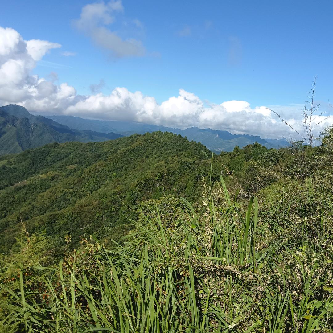 白河小赵