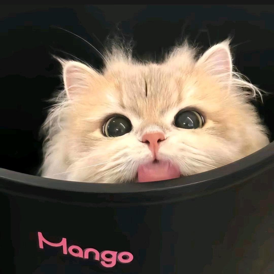 y.ˢᵍ👻.ᴶᵀ.sm