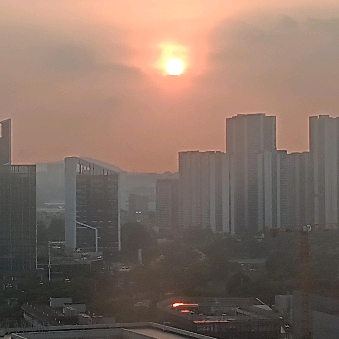如愿姐