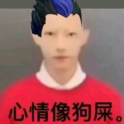 如果有一天我真的杳无音讯