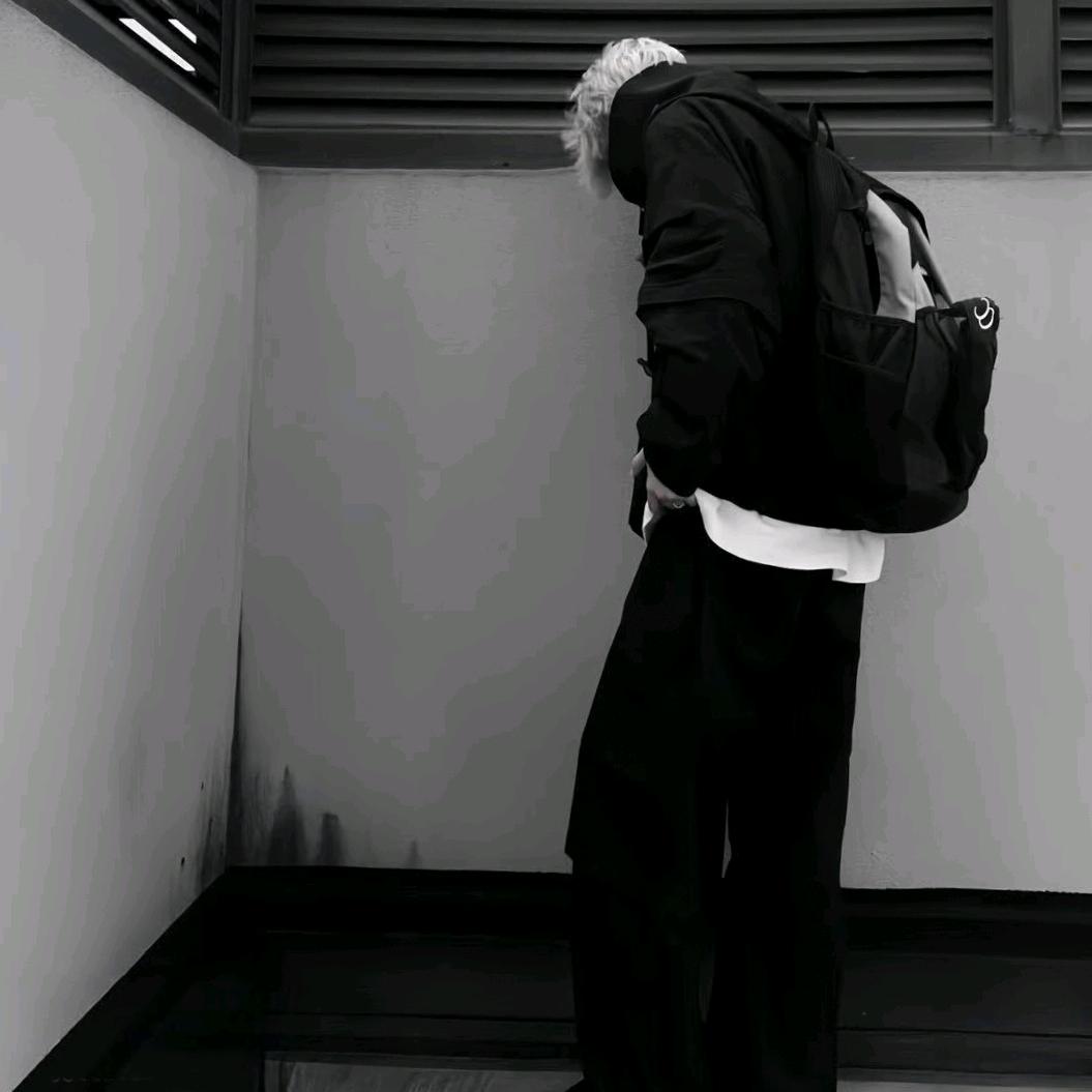 苏晨