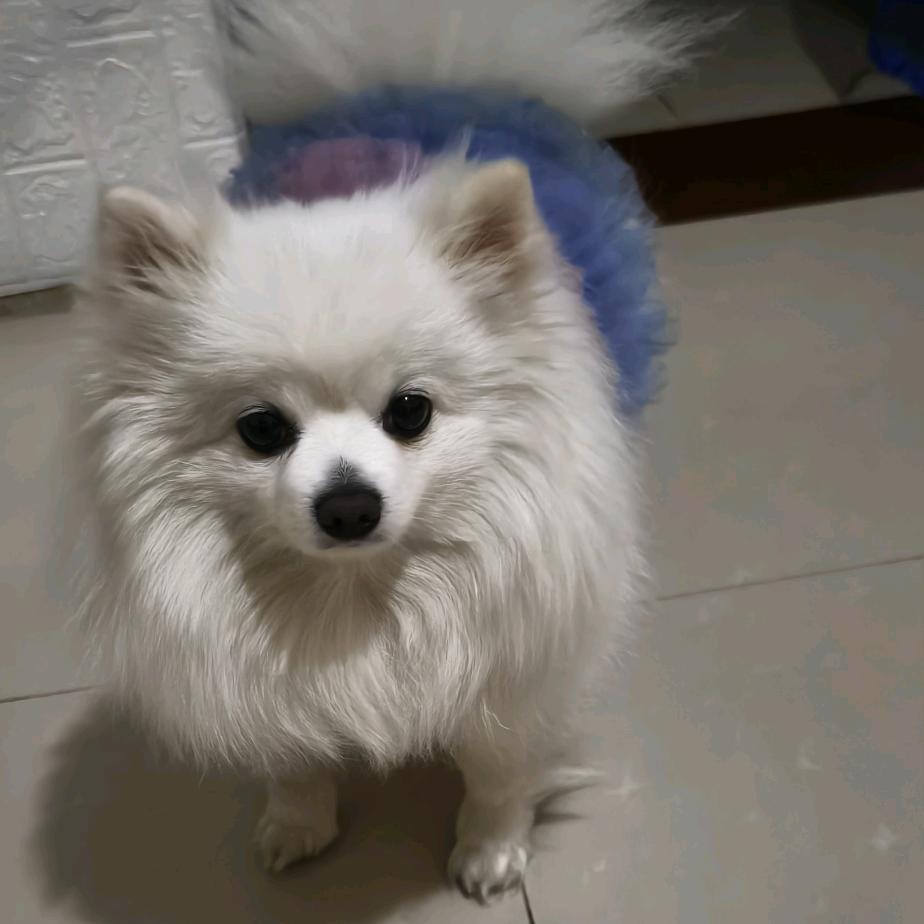 美好未来
