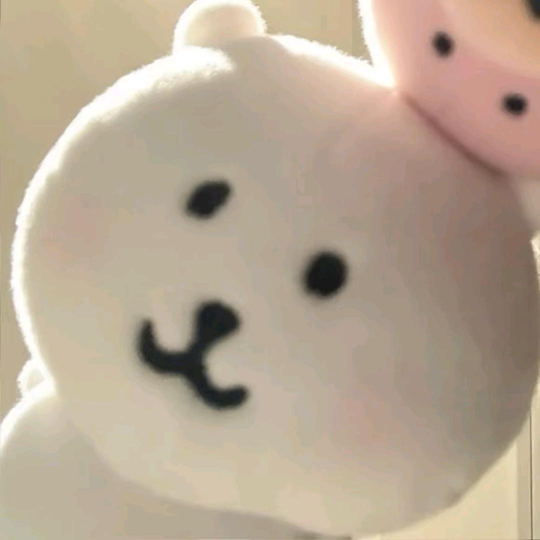 小猪.