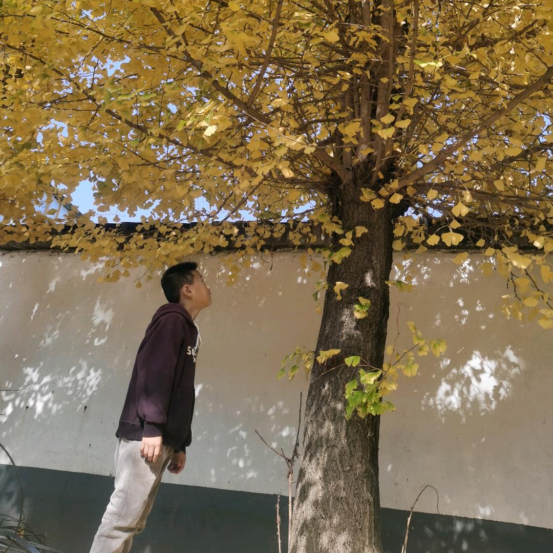 虎哥是个传说