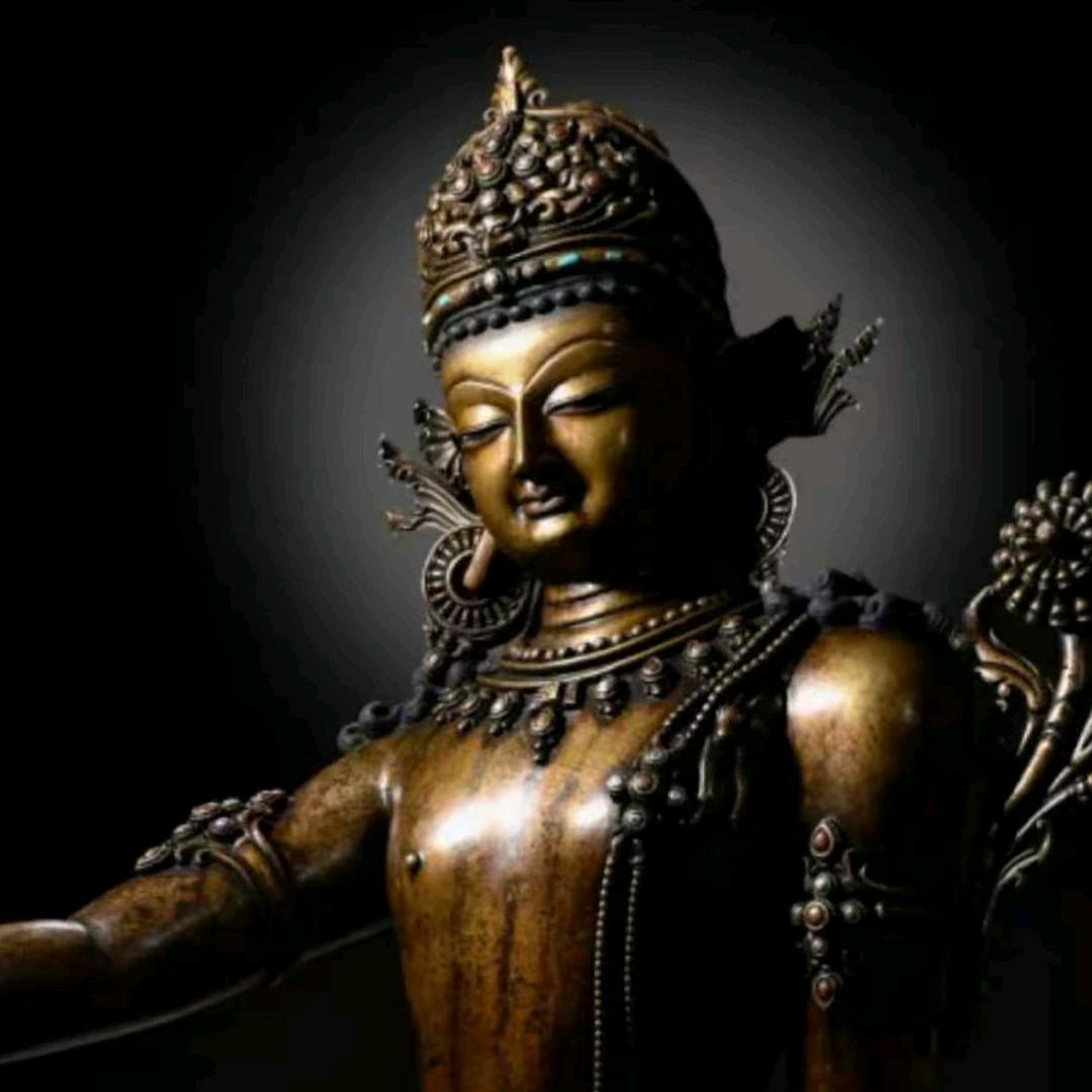 回过来关注动物世界