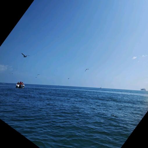 酒店羊毛猎手阿木