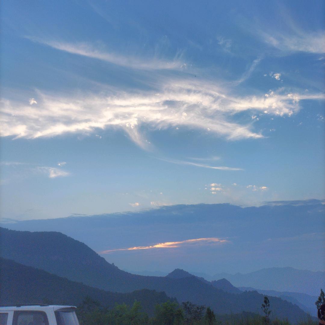 香水有毒