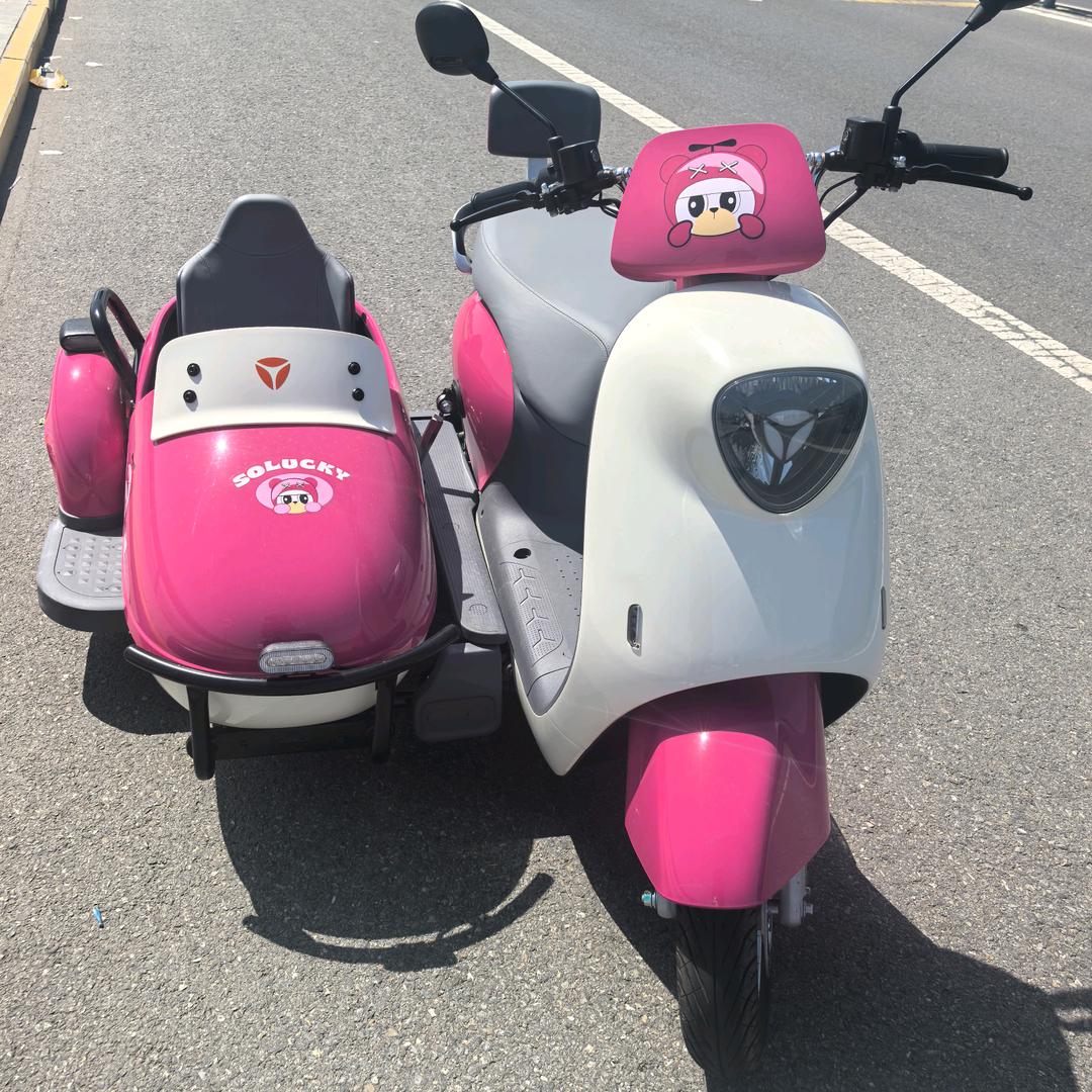 养马岛租电动车