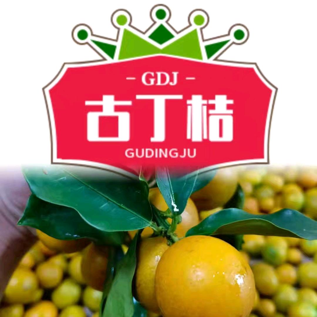 古丁桔(广东豪福)农业