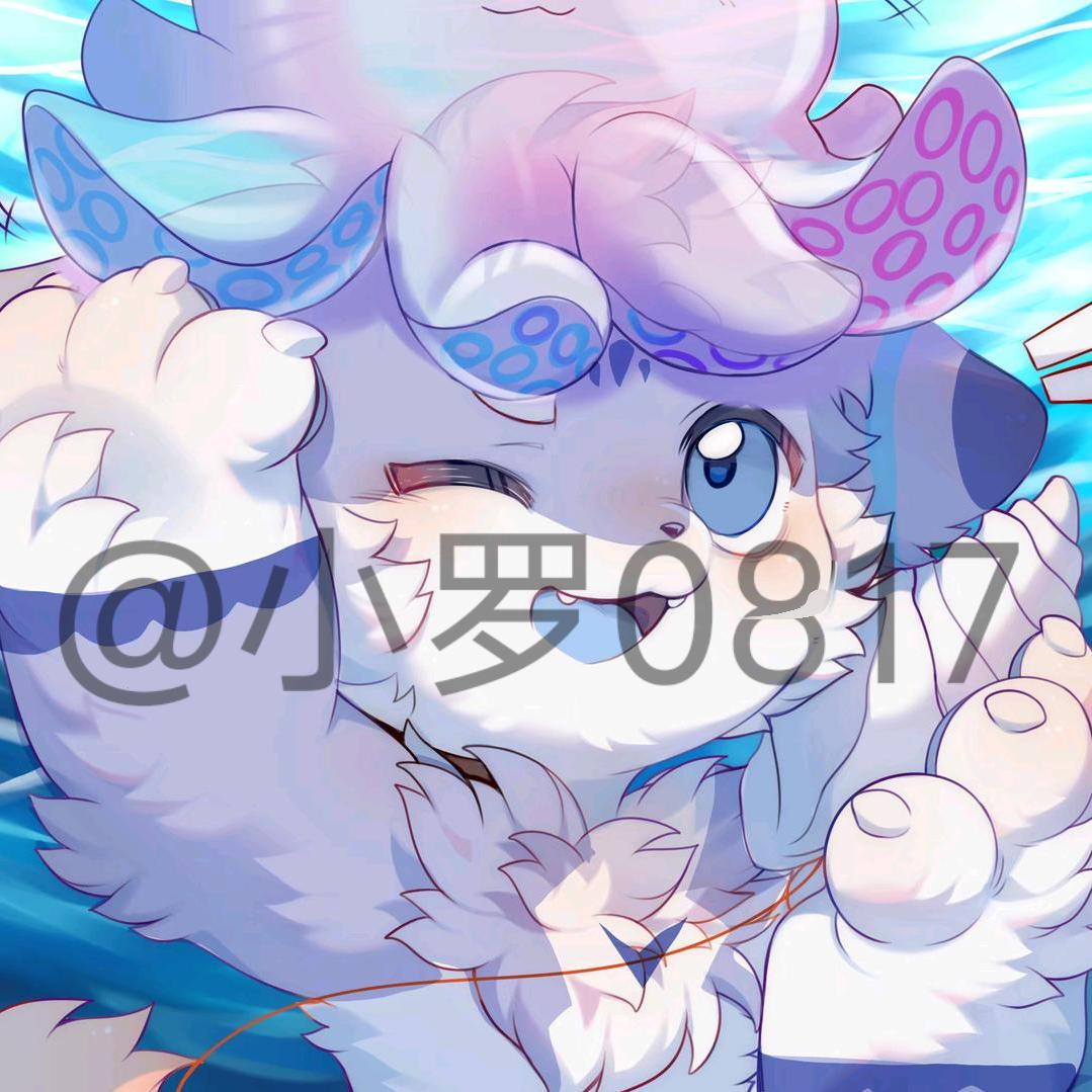 小罗0817
