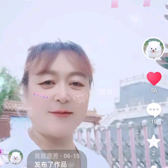 我就是芳