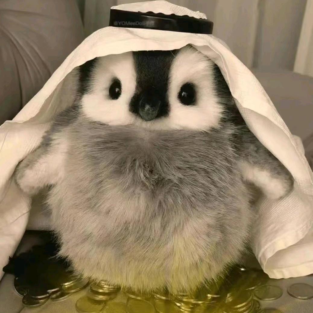 木鱼脑袋