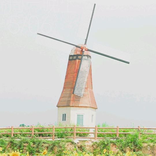 맑게 갠 하늘