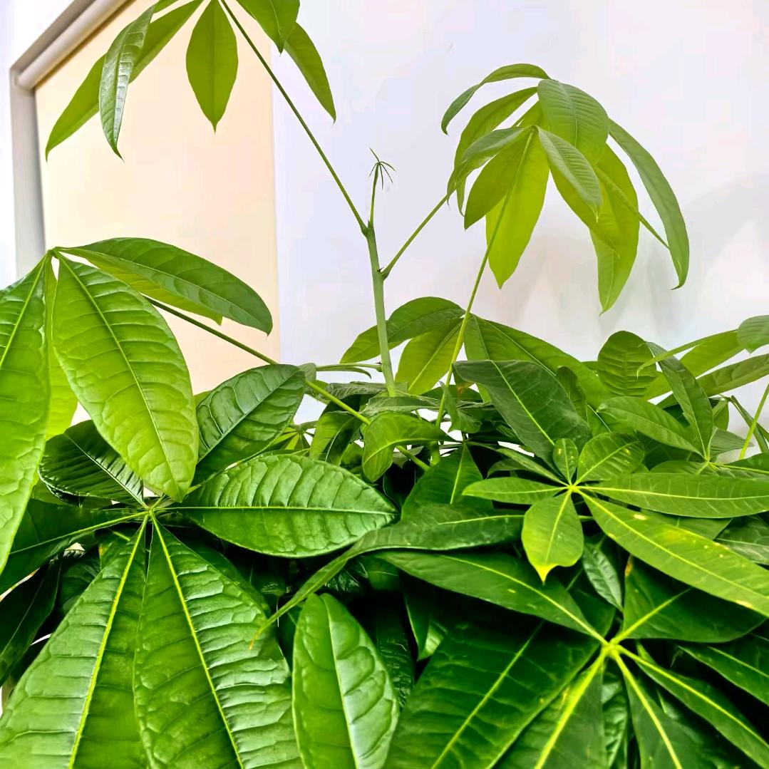 🔔风雨相伴🔔