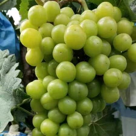 小郭小郭财富多多