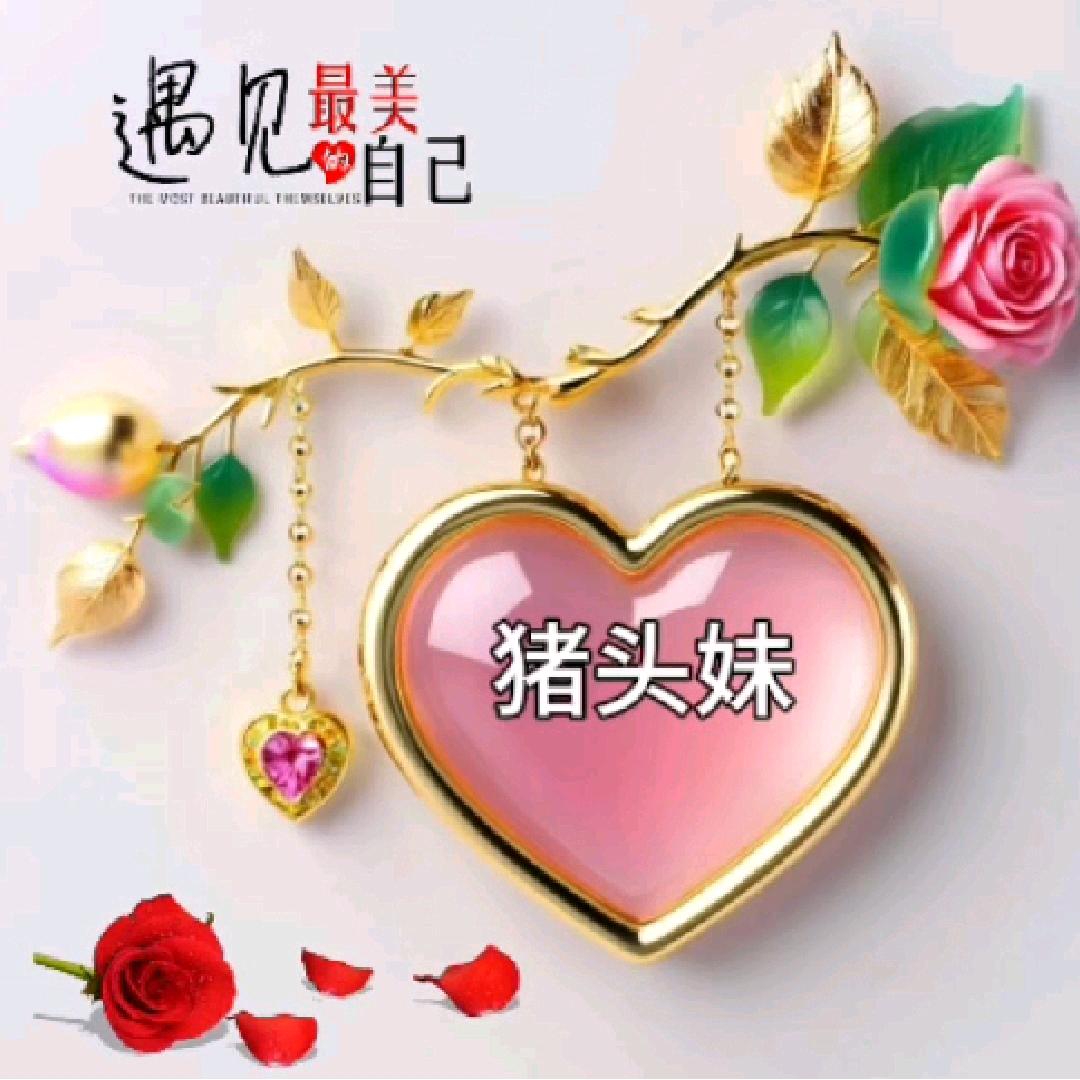 熟悉的陌生人l6h5