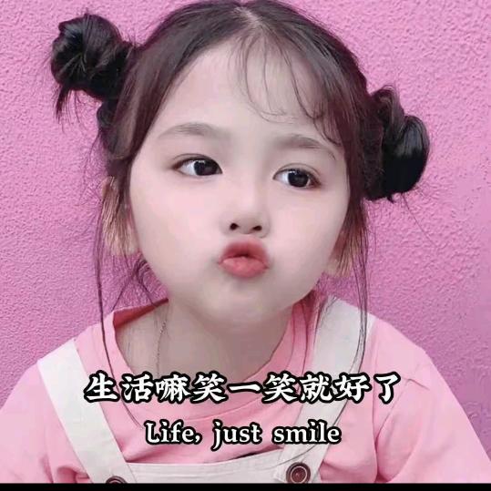 🌻豆豆🌻