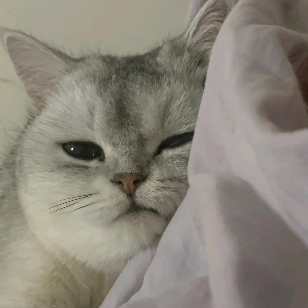 宝乛